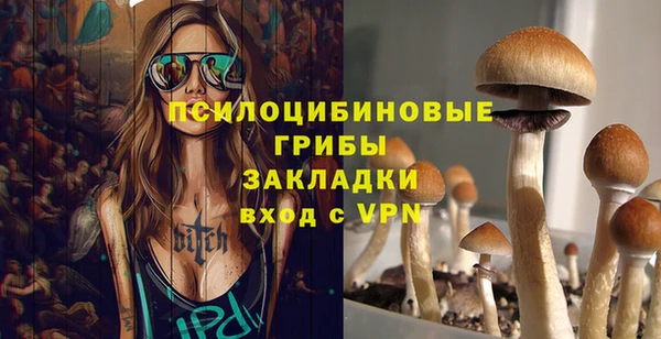соль курить ск Арсеньев